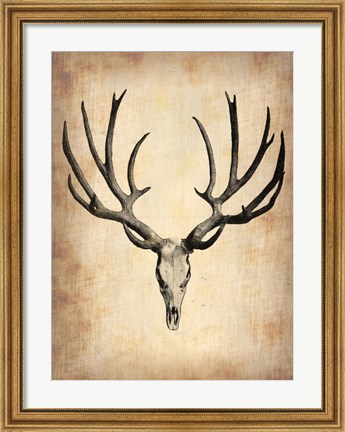 Framed Vintage Deer Scull Print