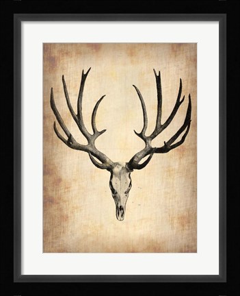 Framed Vintage Deer Scull Print