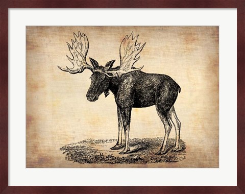 Framed Vintage Moose Print