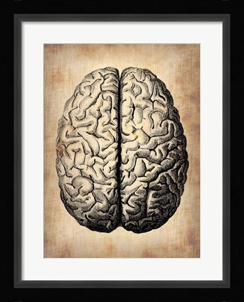 Framed Vintage Brain Print