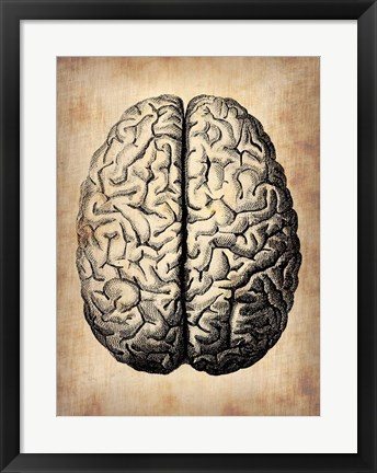 Framed Vintage Brain Print