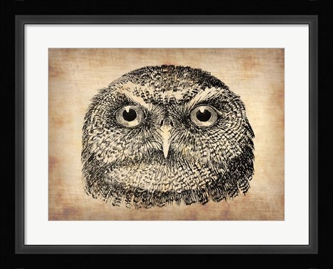 Framed Vintage Owl Face Print