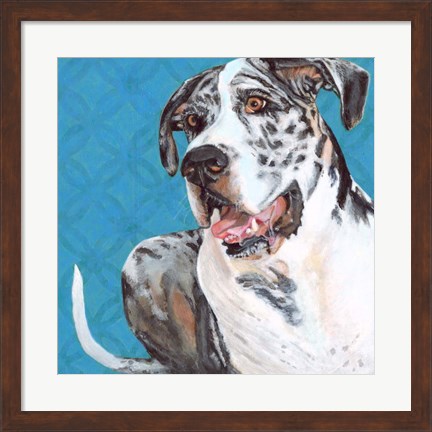 Framed Dlynn&#39;s Dogs - Apollo Print