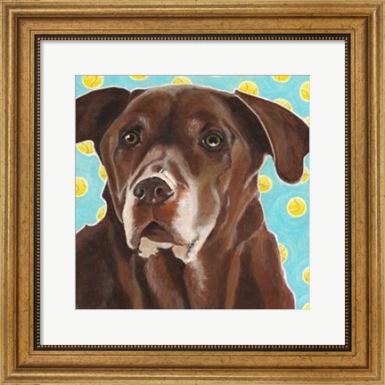 Framed Dlynn&#39;s Dogs - Get Your Ball Print