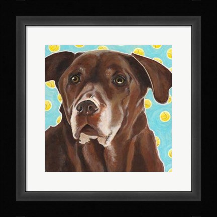 Framed Dlynn's Dogs - Get Your Ball Print