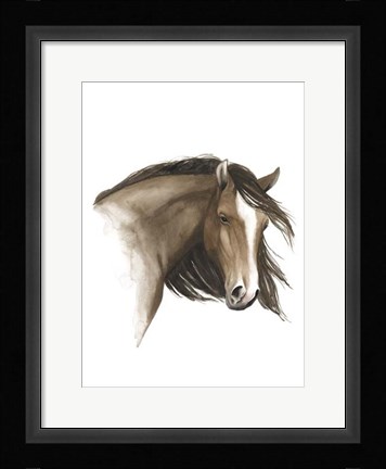 Framed Wild Horse I Print