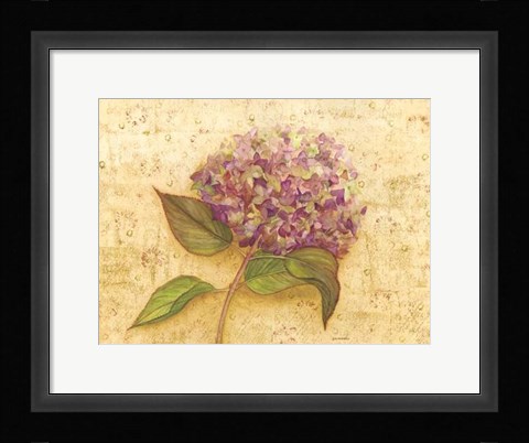 Framed Hydrangea Love I Print