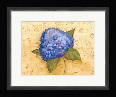 Framed Hydrangea Love II Print