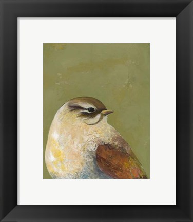 Framed Bird Portrait I Print