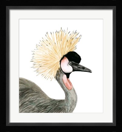 Framed Watercolor Crested Crane Print
