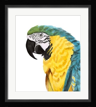 Framed Watercolor Parrot Print
