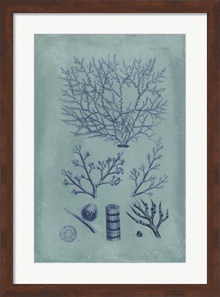 Framed Indigo &amp; Azure Seaweed III Print