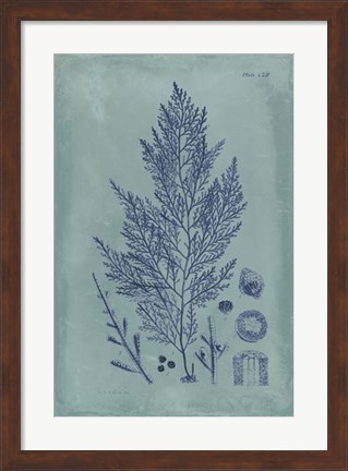 Framed Indigo &amp; Azure Seaweed IV Print