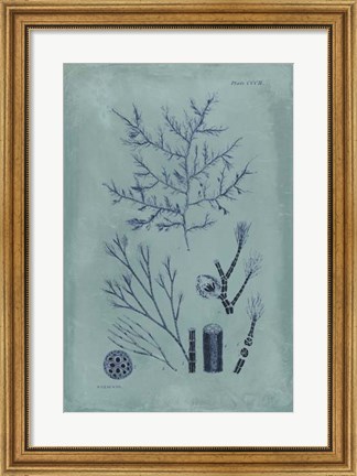 Framed Indigo &amp; Azure Seaweed VIII Print
