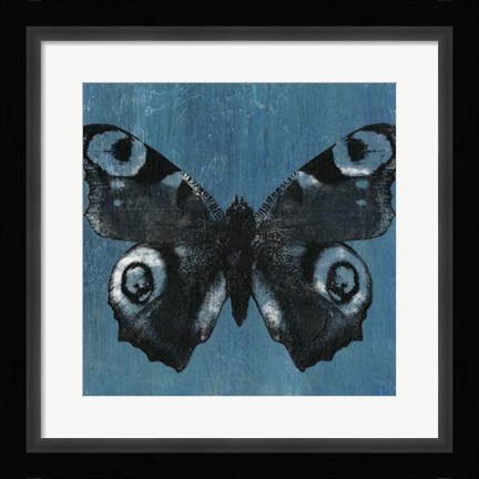 Framed Chambray Butterflies I Print