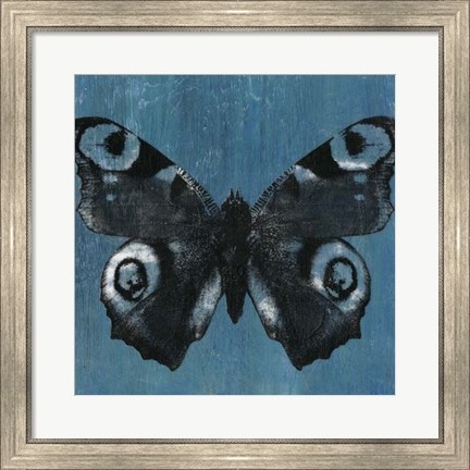 Framed Chambray Butterflies I Print