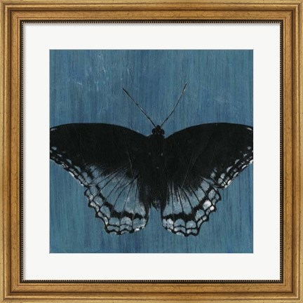 Framed Chambray Butterflies II Print