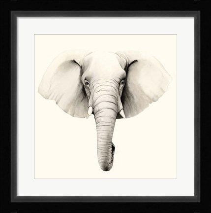 Framed Safari Portrait IV Print