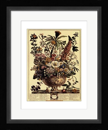 Framed December/Twelve Months of Flowers, 1730 Print