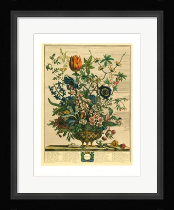 Framed February/Twelve Months of Flowers, 1730 Print