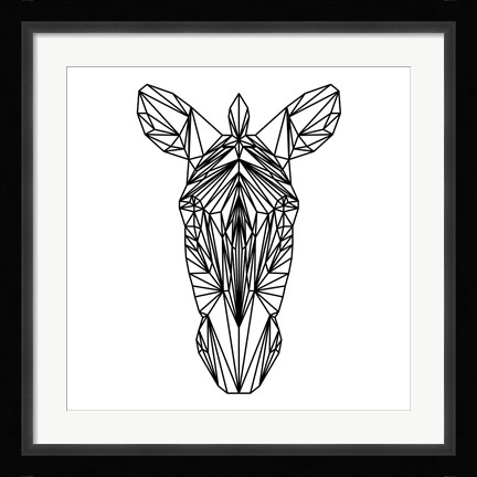 Framed Zebra on White Print
