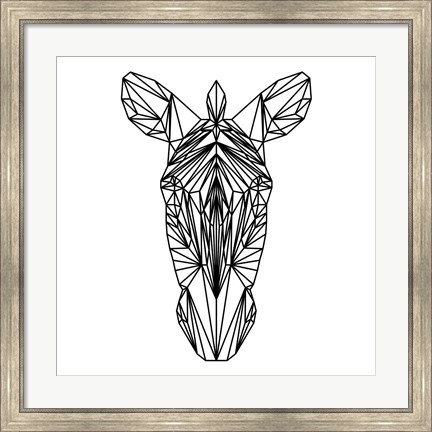 Framed Zebra on White Print