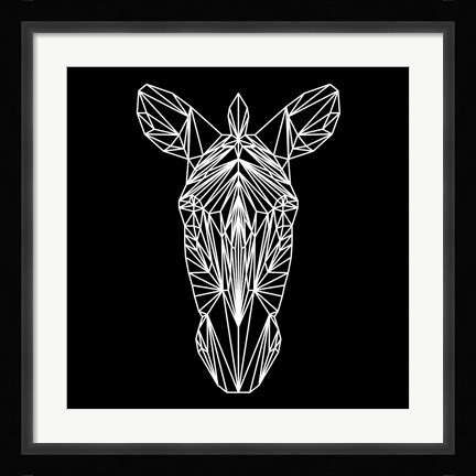 Framed Zebra on Black Print