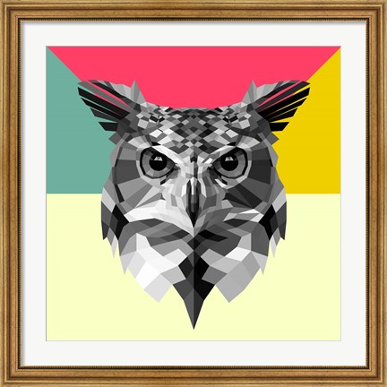 Framed Owl Head Print
