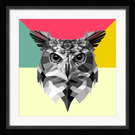 Framed Owl Head Print
