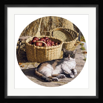 Framed Sunspot Print