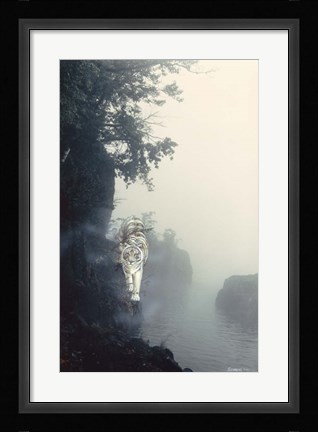 Framed Tiger On A Ledge Print