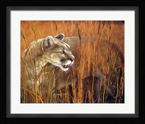 Framed Prairie Marauder Print