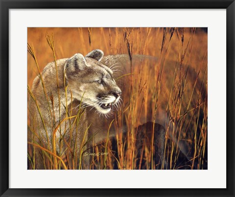 Framed Prairie Marauder Print