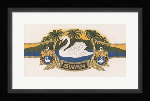 Framed Swan Print