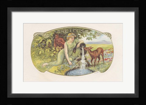 Framed Arethusa Print