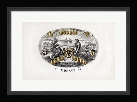 Framed Flor De Cubeba Print