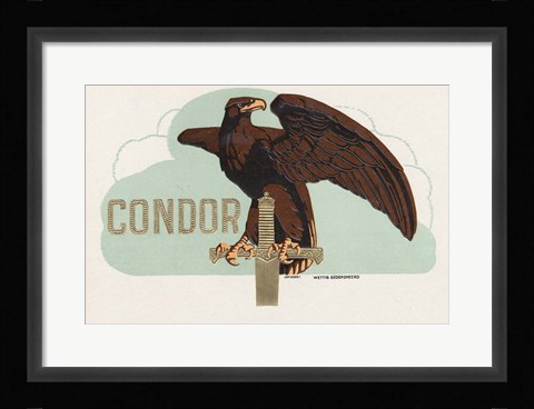 Framed Condor Print