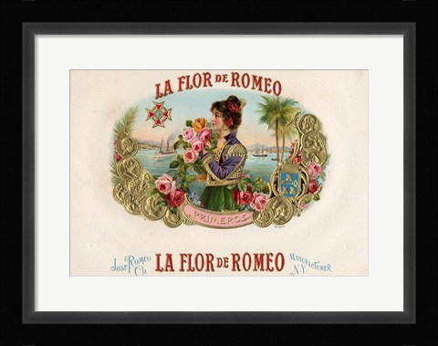 Framed La Flor De Romeo Print