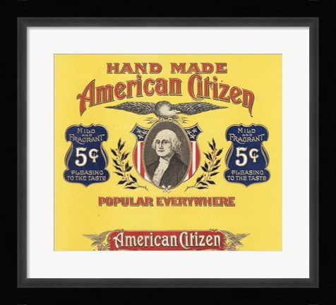 Framed American Citizen Print