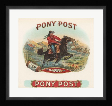 Framed Pony Post Print