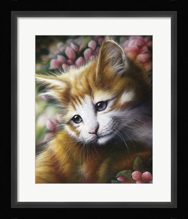 Framed Buttercup Print