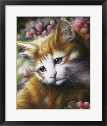 Framed Buttercup Print