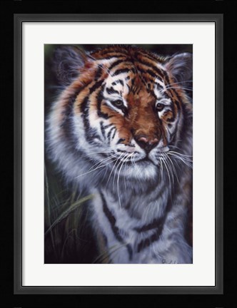 Framed Tiger In The Midst Print