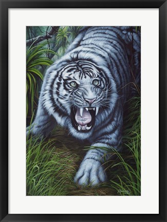 Framed White Tiger Print