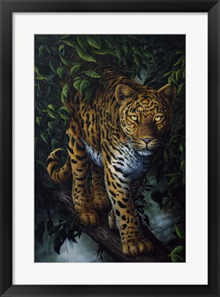 Framed Watchful Eyes Print