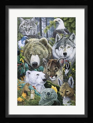 Framed North America's Endangered Print