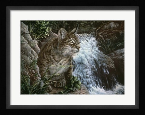 Framed Danger In Paradise Print