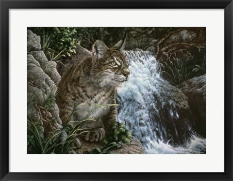 Framed Danger In Paradise Print