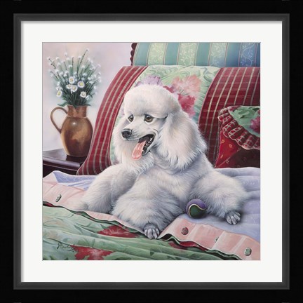 Framed White Poodle Print