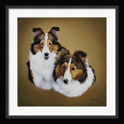 Framed Collies 1 Print